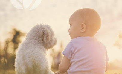 ¿Cuál es la mascota ideal para tu niño pequeño?
