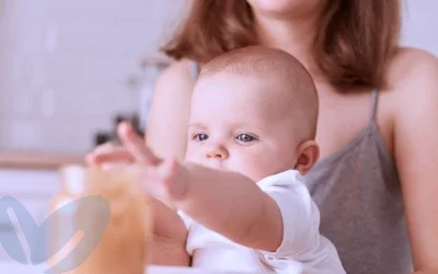 Todo lo que debes saber sobre BLW y las Papillas en la alimentación de tu bebé